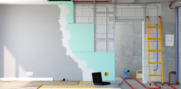 Best Black Mold Removal  in Nashville, IN