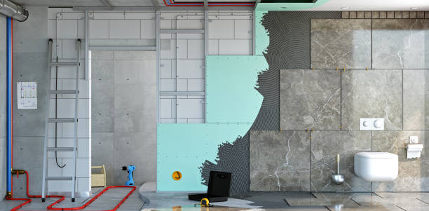 Mold Documentation for Insurance Claims in Nashville, IN