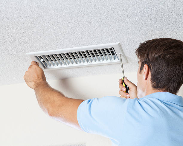 Best Crawl Space Mold Remediation  in Nashville, IN